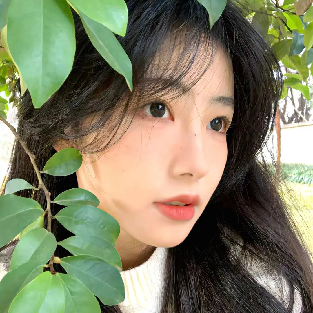 消失的女人